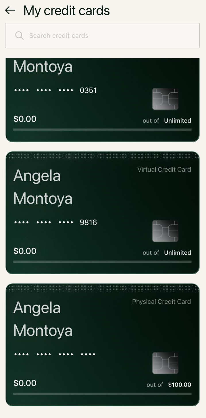 credit card 2.png